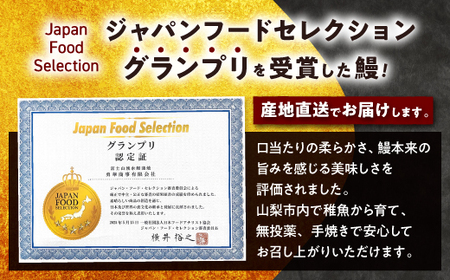 山梨県産富士山脈の地下水うなぎの蒲焼【4尾700g以上】【配送不可地域：離島】【1566342】