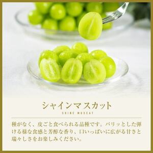 【2026年先行受付】山梨県山梨市産　旬の採れたてシャインマスカット　秀等品　約5kg(8～11房)【配送不可地域：離島・沖縄県】【1566249】