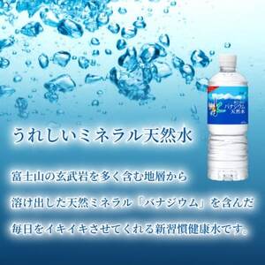 【毎月定期便】バナジウム天然水600ml【24本入】アサヒ飲料全2回　防災【4060647】