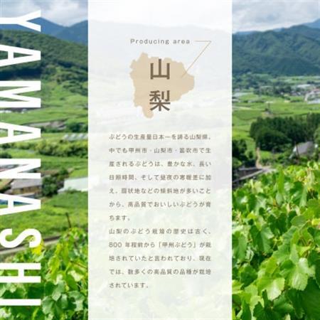 シャインマスカットジュース 1000ml × 1本 果汁 100% ストレート シャインマスカット【1574778】