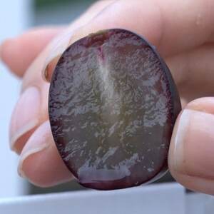 【2026年先行受付】10月上旬発送「牧丘天空の丘マスカットノワール」約1kg(2～3房)【配送不可地域：離島】【1579814】