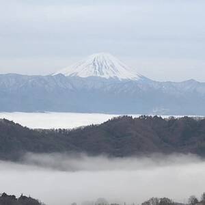 【2026年先行受付】10月上旬発送「牧丘天空の丘マスカットノワール」約1kg(2～3房)【配送不可地域：離島】【1579814】