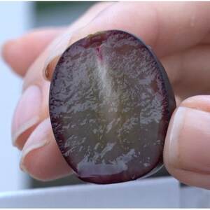 【2026年先行受付】10月中旬発送「牧丘天空の丘マスカットノワール」約1kg(2～3房)【配送不可地域：離島】【1579850】