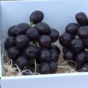 【2026年先行受付】10月中旬発送「牧丘天空の丘マスカットノワール」約1kg(2～3房)【配送不可地域：離島】【1579850】