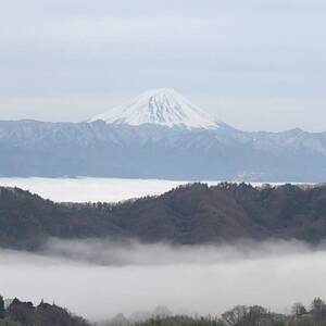 【2026年先行受付】10月中旬発送「牧丘天空の丘マスカットノワール」約1kg(2～3房)【配送不可地域：離島】【1579850】