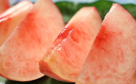 【2026年発送先行受付】山梨県山梨市産　旬の採れたて高糖度桃　約5kg(13～20玉)【配送不可地域：離島・沖縄県】【1572402】