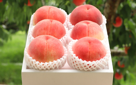 【2026年発送先行受付】山梨県山梨市産　旬の採れたて高糖度桃　約5kg(13～20玉)【配送不可地域：離島・沖縄県】【1572402】