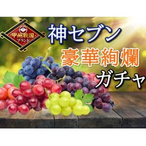 【甲州戦国高級ブランド葡萄】圧倒的人気トップ7食べ比べガチャセット約1kg2種　2026年予約【配送不可地域：離島】【1579835】