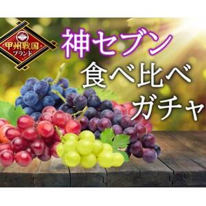 【甲州戦国高級ブランド葡萄】圧倒的人気トップ7食べ比べガチャランダムセット約2kg　2026年予約【配送不可地域：離島】【1579836】