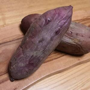 【人生で一度は食べたい】100日熟成ギリギリまで糖化シャトーブリアン焼き芋2026年2月中旬～発送【配送不可地域：離島】【1586924】