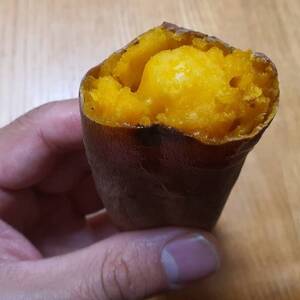 【驚異の最高糖度50度超え】ギリギリまで糖化させた幻のシャトーブリアン焼き芋2026年1月下旬～発送【配送不可地域：離島】【1586926】