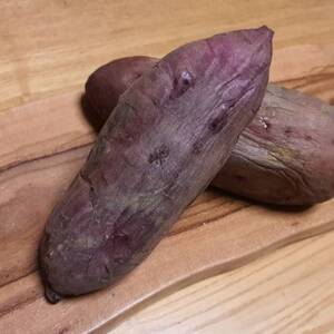 【100日間熟成した脅威の糖度】ギリギリまで糖化した幻のシャトーブリアン焼き芋2026年2月上旬発送【配送不可地域：離島】【1586927】