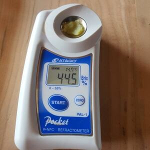 【脳内ダイレクトに響く糖度】ギリギリまで糖化させた幻のシャトーブリアン焼き芋2026年2月中旬～発送【配送不可地域：離島】【1586928】