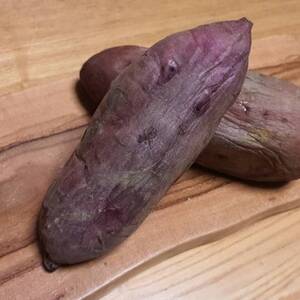 【脳内ダイレクトに響く糖度】ギリギリまで糖化させた幻のシャトーブリアン焼き芋2026年2月中旬～発送【配送不可地域：離島】【1586928】