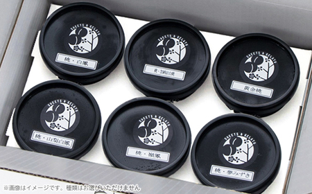 カフェラペスカのジェラート　6品種の桃の食べ比べ【配送不可地域：離島】【1591247】