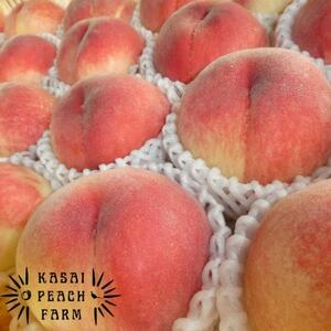 【2026年発送先行受付】厳選朝採り桃 山梨の笠井桃園の桃 約2kg【配送不可地域：離島】【1587429】