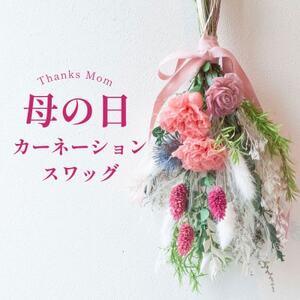 カーネーションスワッグ ピンク プリザーブドフラワー 母の日 壁掛け【1603934】