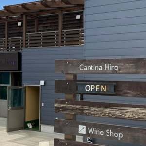 【山梨市牧丘】シャインマスカット体験型ぶどう苗木オーナー権利【1年間】【1607349】