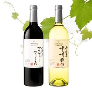 サントネージュワインが贈るマスカット・ベーリーA/甲州樽熟 赤白 計2本セット【1613548】
