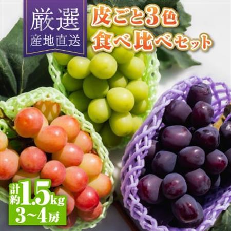 シャインマスカット含む皮ごと3色食べ比べセット約1.5kg(3～4房)【配送不可地域：離島】【1613578】
