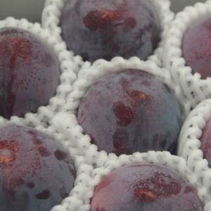 【発送月固定定期便】フルーツ定期便全3回【配送不可地域:離島・沖縄県】【4066756】