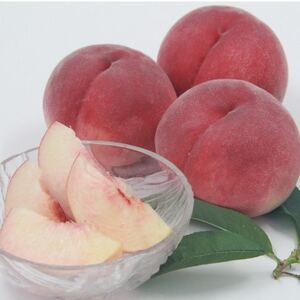 【発送月固定定期便】フルーツ定期便全3回【配送不可地域:離島・沖縄県】【4066756】