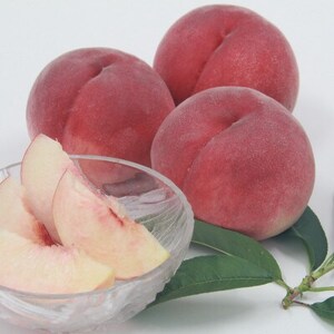 【発送月固定定期便】フルーツ定期便全4回【配送不可地域：離島】【4066761】