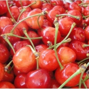 【発送月固定定期便】フルーツ定期便全5回【配送不可地域：離島】【4066763】