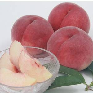 【発送月固定定期便】フルーツ定期便全5回【配送不可地域：離島】【4066763】