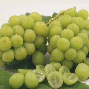 【発送月固定定期便】フルーツ定期便全5回【配送不可地域：離島】【4066763】