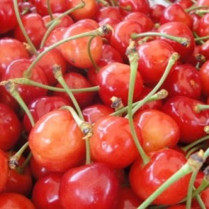 【発送月固定定期便】フルーツ定期便全6回【配送不可地域:離島】【4066764】