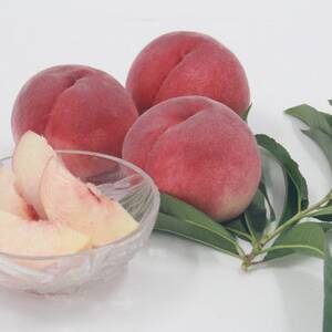 【発送月固定定期便】フルーツ定期便全6回【配送不可地域:離島】【4066764】