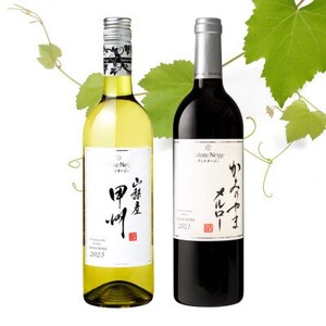 サントネージュワインが贈る甲州/メルロー赤白 計2本セット【1613575】