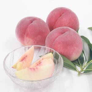 【発送月固定定期便】フルーツ定期便全2回【配送不可地域：離島・沖縄県】【4066752】