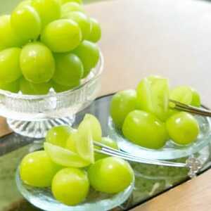 【2026発送予定】特選!シャインマスカット2房化粧箱入　山梨市産地直送　約500g×2房【配送不可地域：離島】【1178158】