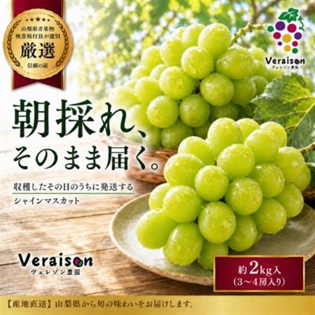 【2026発送予定】シャインマスカット (約2kg箱) 農家直送朝どりシャインマスカット3～4房【配送不可地域：離島】【1178162】