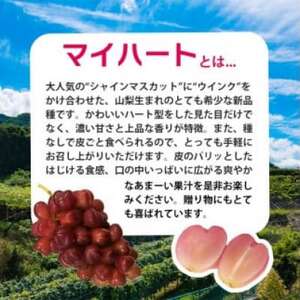【2026年9月上旬より発送予定】マイハート1房 500g以上 ハート形のかわいい葡萄【配送不可地域：離島】【1613666】