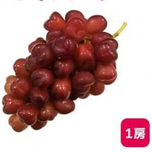 【2026年9月上旬より発送予定】マイハート1房 500g以上 ハート形のかわいい葡萄【配送不可地域：離島】【1613666】