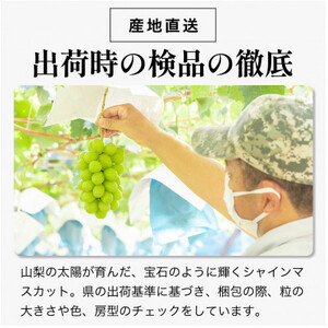 【数量限定】6月下旬～7月中旬発送ハウス栽培の『シャインマスカット』 2房　約1kg【配送不可地域：離島・沖縄県】【1041839】