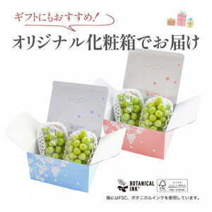 【数量限定】6月下旬～7月中旬発送ハウス栽培の『シャインマスカット』 2房　約1kg【配送不可地域：離島・沖縄県】【1041839】