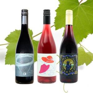 三養醸造が贈るおすすめ赤ワイン3本セット【1616280】