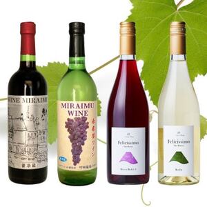 山梨市おすすめ赤白ロゼ4本セット(2)【1616284】