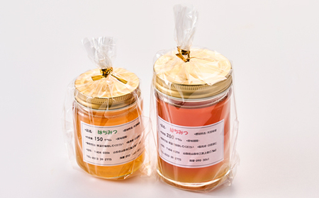 【山梨市三富産】日本みつばちの純粋はちみつ2本セット(200g+150g)【1119992】