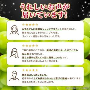 2026年度先行予約 フルーツ王国山梨 厳選 シャインマスカット 6～8房(約4kg) 2kg×2箱【配送不可地域：離島】【1632338】