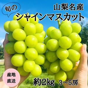 ◆2026年発送◆産地直送 山梨名産!旬のシャインマスカット 3～5房(約2kg)【配送不可地域：離島】【1640708】