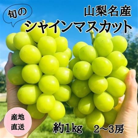◆2026年発送◆産地直送 山梨名産!旬のシャインマスカット 2～3房(約1kg)【配送不可地域：離島】【1640021】