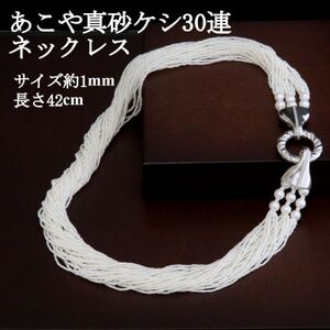 SVあこや真珠砂ケシ【30連】42cm【配送不可地域：沖縄県】【1643784】