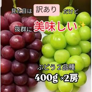 【2026発送予定】【訳あり】葡萄2色入り化粧箱入り　山梨市産地直送　約400g×2房【配送不可地域：離島】【1178185】