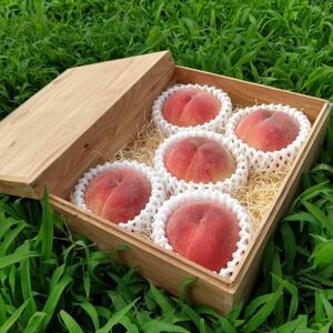 【お家で一流レストラン御用達】桃通を唸らせる『幻のシャトーブリアン桃』2026年8月下旬より順次発送【配送不可地域：離島・北海道・沖縄県・中国・四国・九州】【1676994】