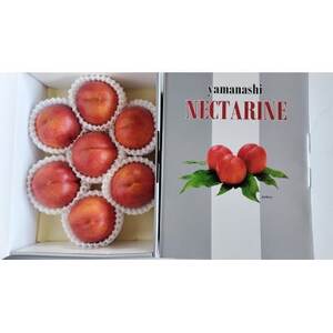 2026年先行 スイートネクタリン 約2kg(6~12個)【配送不可地域:離島・北海道・沖縄県・中国・四国・九州】【1676551】